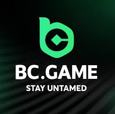 Ultimate BC.Game Bonus Guide Unlocking Exciting Rewards
